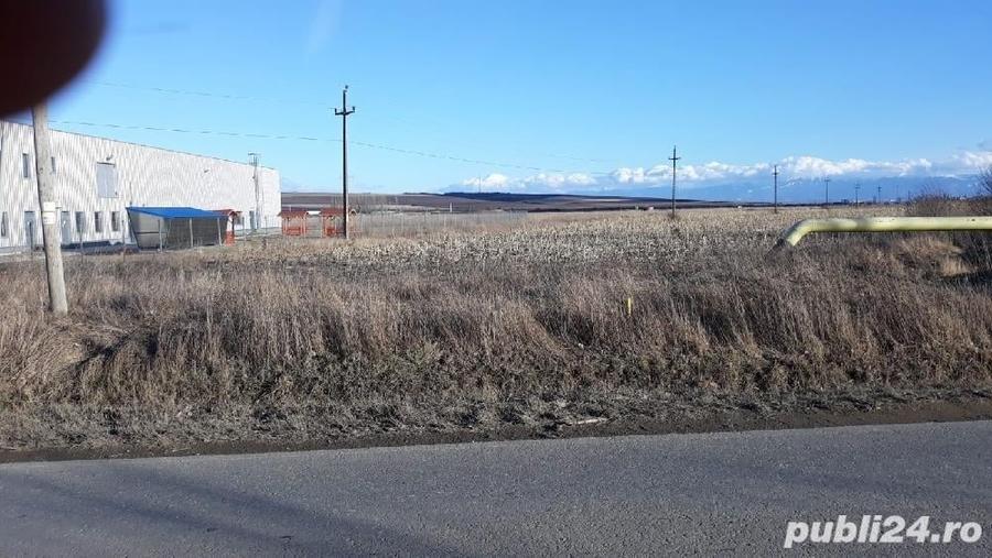 Teren de 22500 mp, în Central