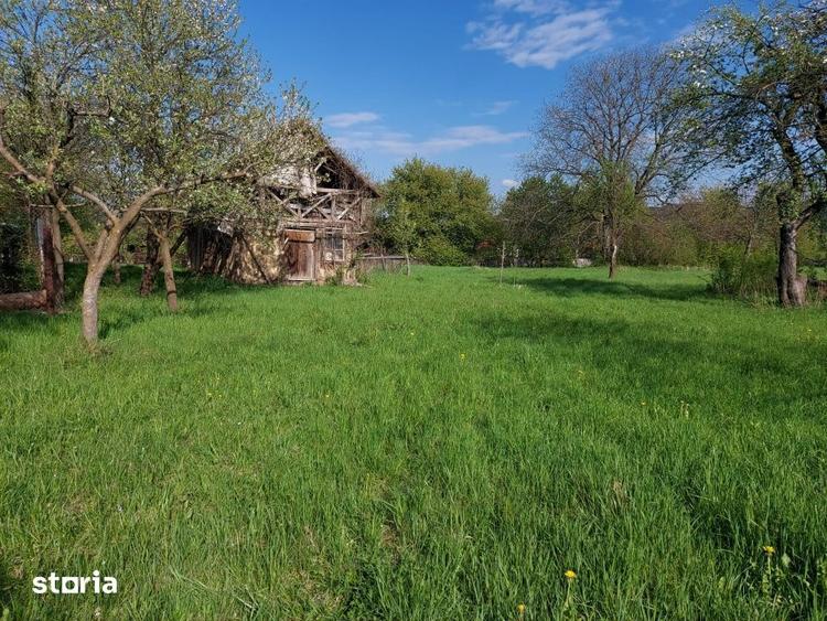 Teren de 1240 mp, în Alexandru cel Bun