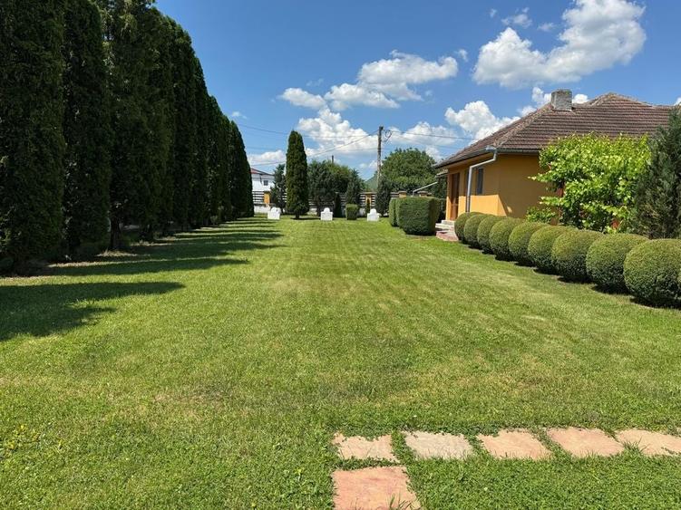 Casa de vanzare Rupea - 5