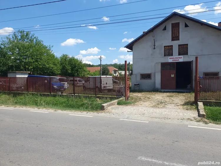 Vand proprietate - 4