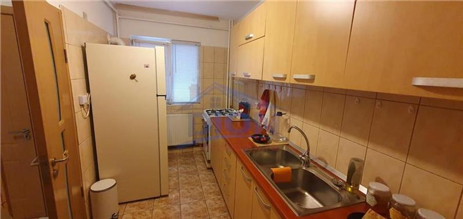 APARTAMENT 3 CAM CENTRALA, BRANCOVEANU HUEDIN - 12