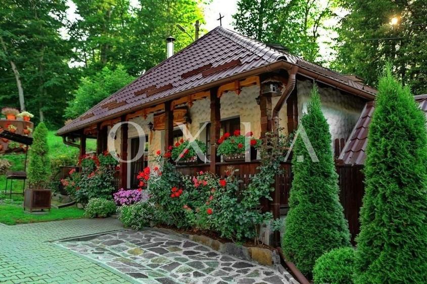 AX949 Pensiune Exclusivista In Inima Statiunii Sovata - 23