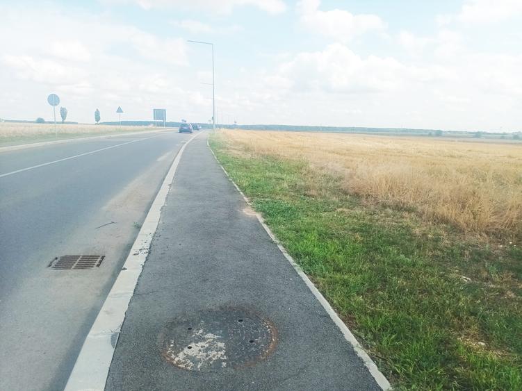 Teren Intravilan Constructii de 12.300 mp, Cu Deschidere la Sosea Asfaltata - 20