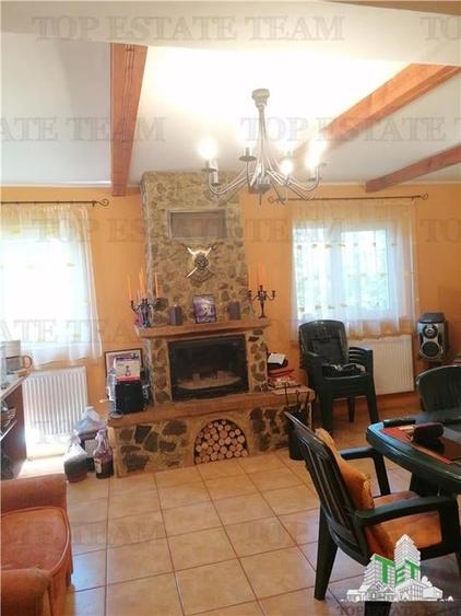 Casa de vacanta in Arges - 3