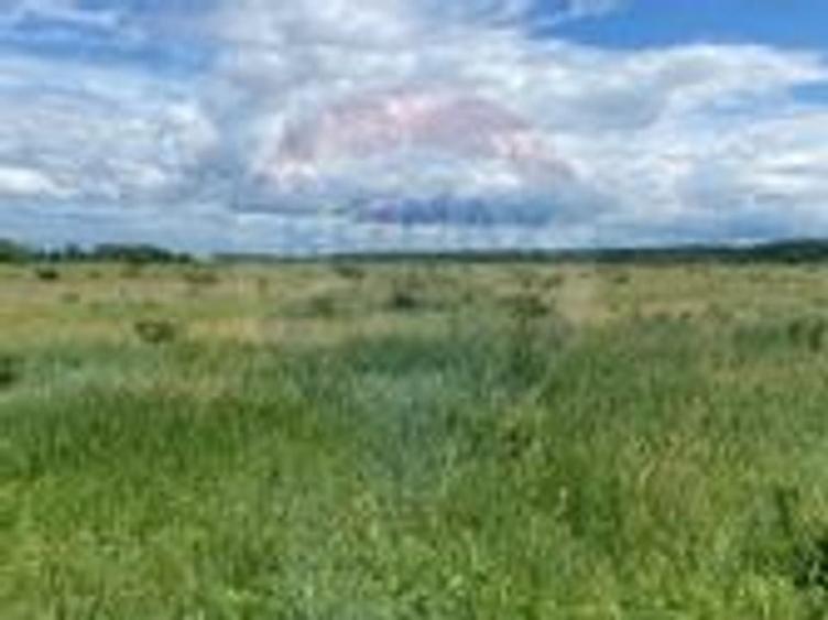 DE VANZARE Teren intravilan 600mp Drumul Piscul Mosului SISESTI - 19