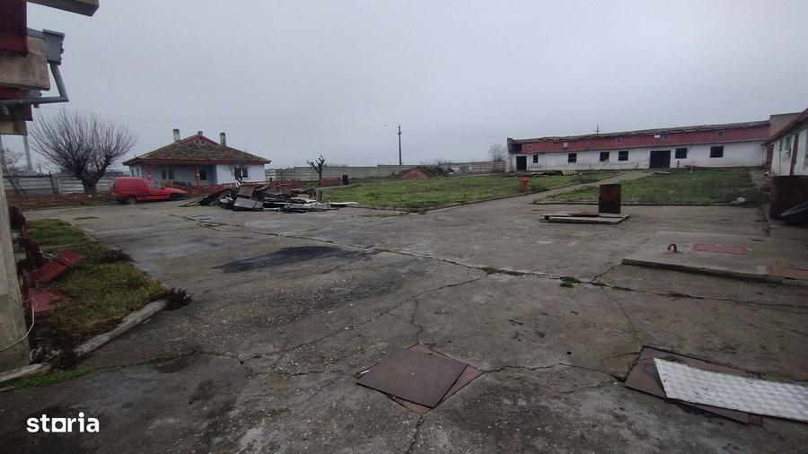 Teren industrial intravilan Ovidiu - 4