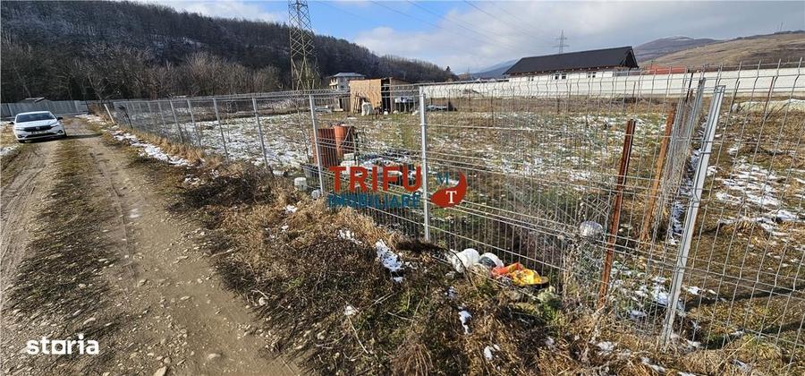 Teren pentru casa in Sard - 3