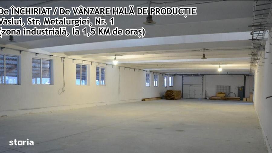 Hala de inchiriat - 3