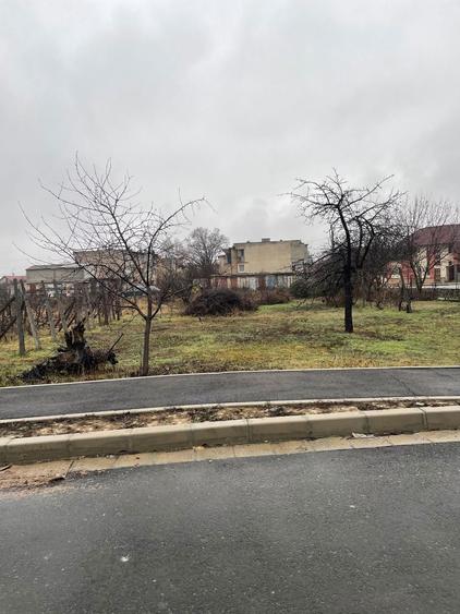 Vand teren 700 mp, zona Oncea, str Bunytai Vince nr 65 - 2