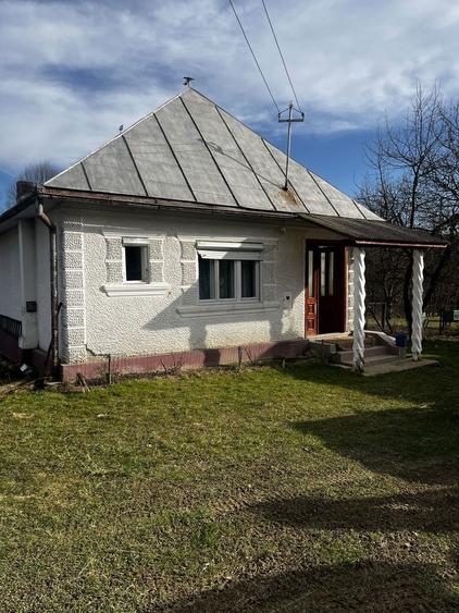 Teren, casa si anexe de vanzare, Viseu de Jos - 1