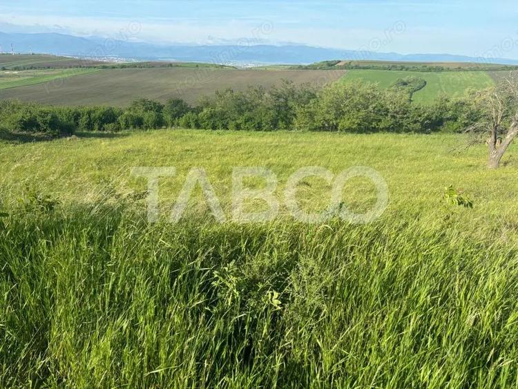 Teren de vanzare intravilan 8900mp Sura Mare zona deosebita - 6