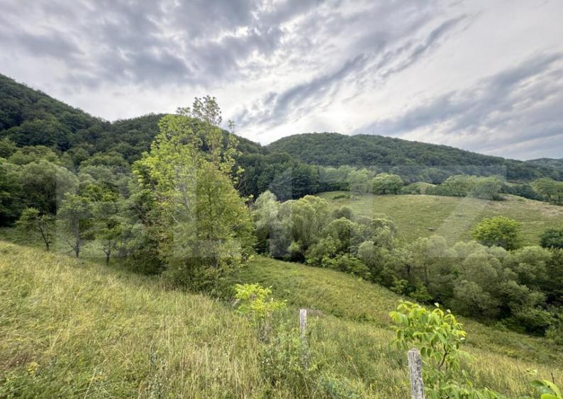 Teren extravilan 23.376 mp, in apropiere de Brad - 1