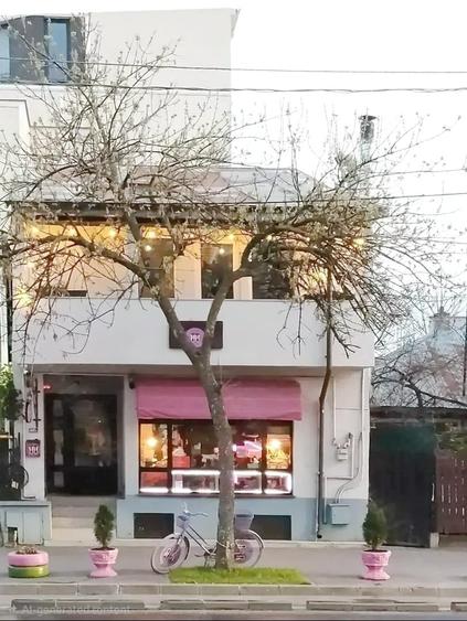 Spatiu comercial stradal de inchiriat, Aviatiei Herastrau, 165 mp! - 1