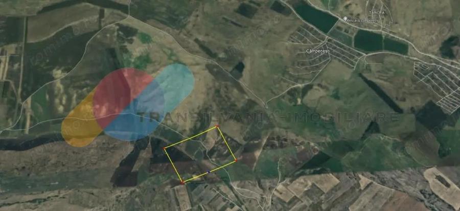 Teren Extravilan 39.867 Mp, zona Campenesti - 1