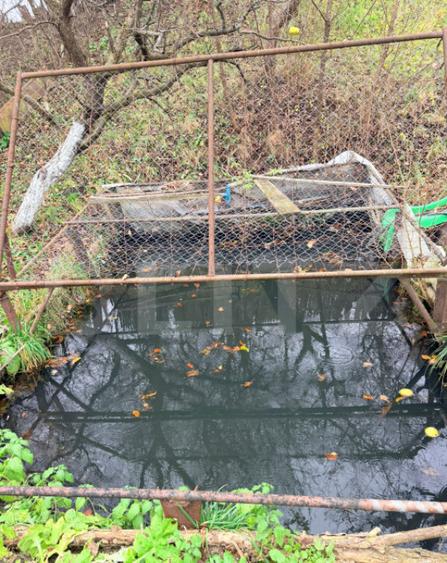 Casa de vanzare proprietate generoasa 2.285 m2 teren - 6