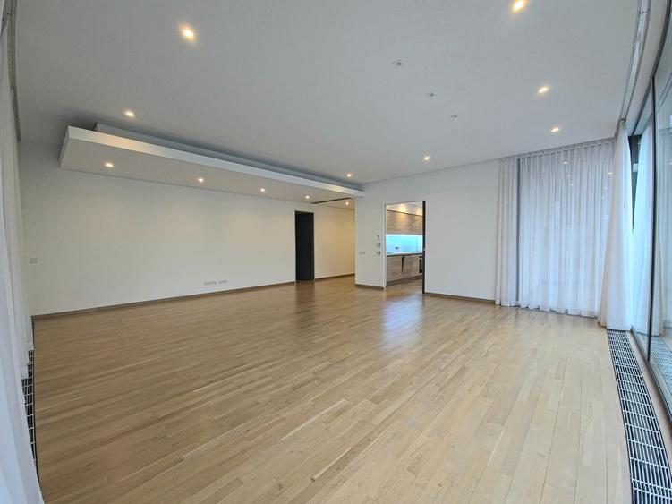 Apartament cu gradina Primaverii - 3