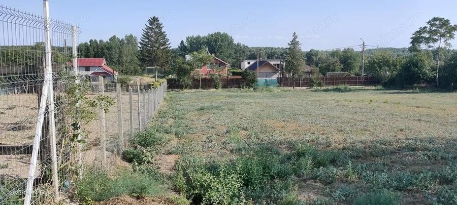 Teren de inchiriat 2200m ,Com Borcea (CL), term lung-INTRAVILAN - 3