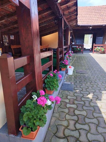 Vand casa in jud. Timis, com Margina, sat Costeiu de sus - 4