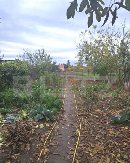 2 case lipite, ideale pentru 2 familii Harman, la doar - 32