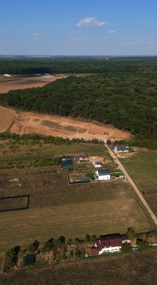 LOT DE VANZARE cu deschidere la padurea Snagov - 7
