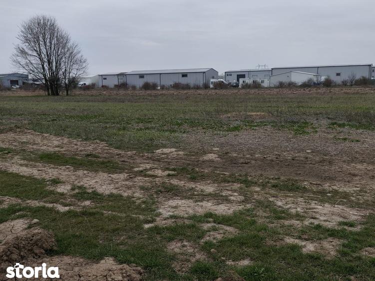 FARA COMISIOANE LOTURI TEREN CONSTRUCTII HALE in ZONA DE HALE merita v - 8