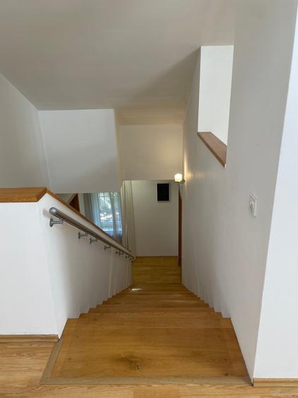 Iancu Nicolae vila 5 dormitoare gradina matura - 20