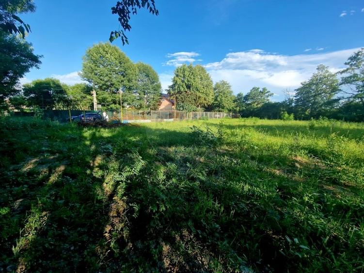 Teren 1,749mp Piatra-Neamt / Strada Zambilelor - 11