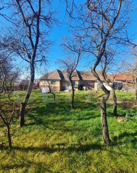 Teren intravilan, 2589 mp, Certificat de urbanism, Rediu, co - 2