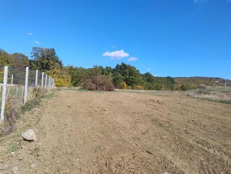 RECO Teren intravilan Betfia - 1