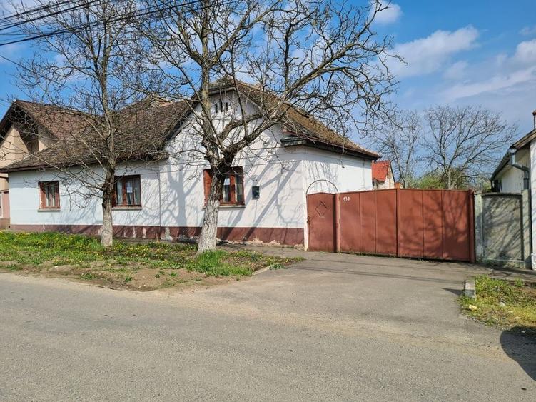 CASA CU TEREN  DE 3.000 MP IN LOCALITATEA GIARMATA LA 195.000 EURO - 4