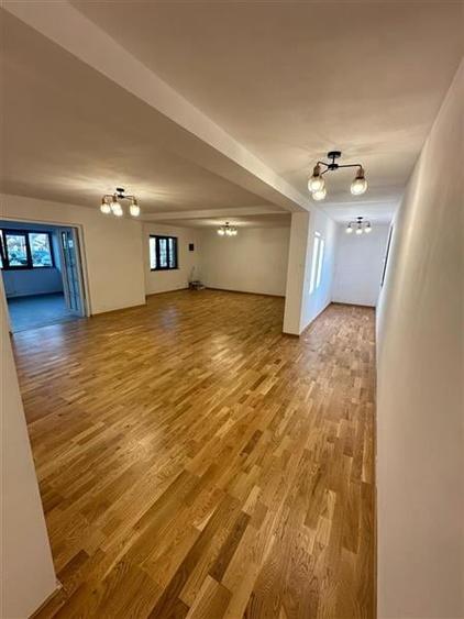 Spatiu de inchiriat - deschidere la E85 - Nicolae Balcescu - 4