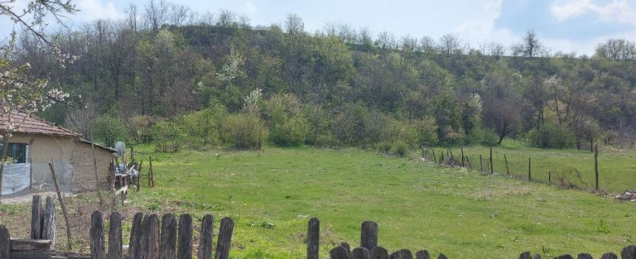 Teren intravilan 3109mp - 3