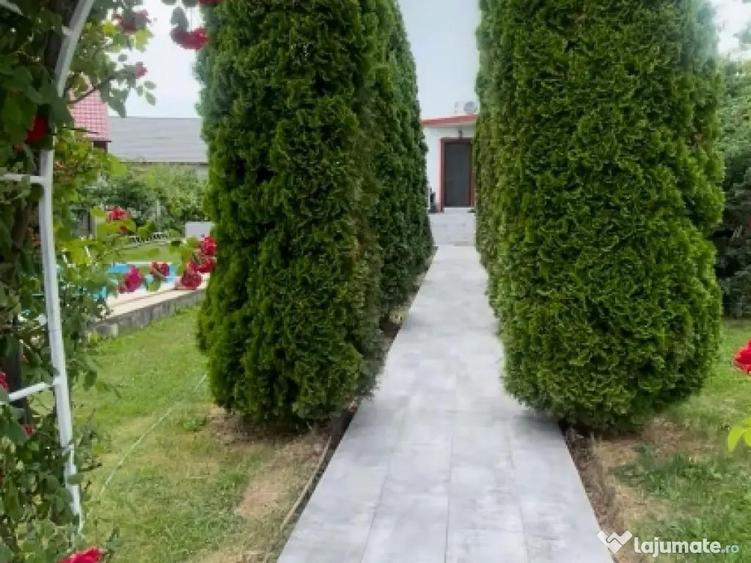 Vand vila baicoi - 5