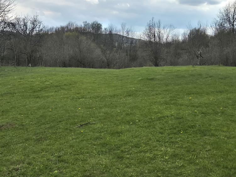 TEREN INTRAVILAN + AUTORIZATIE + LIVADA 4.663 mp Drajna, Faget, Prahova - 2