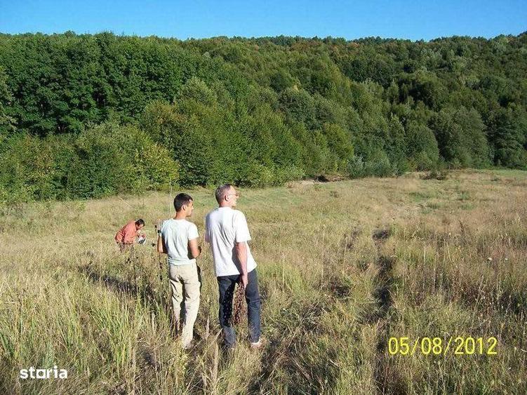 Teren de 6000 mp inconjurat de padure Stefanesti Arges - 1