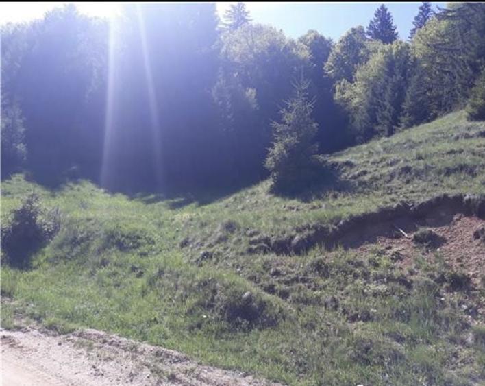 Teren intravilan Poiana Brasov - 3