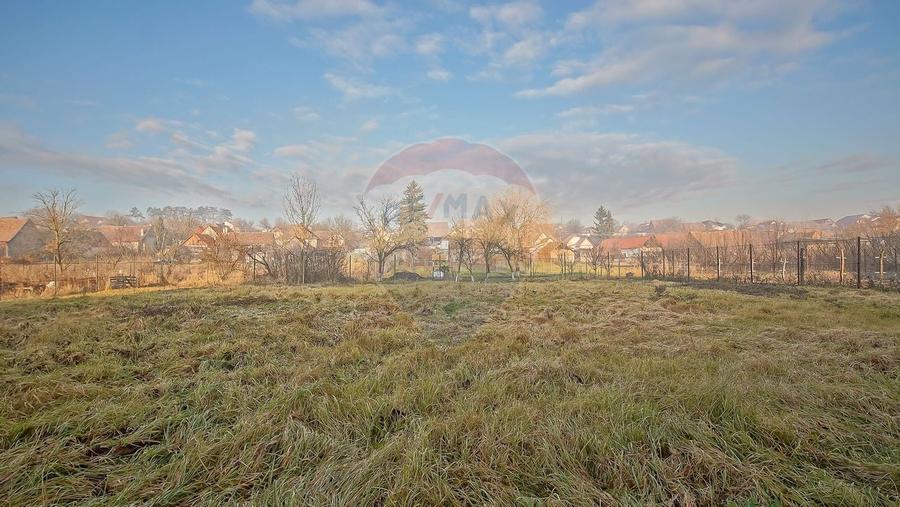 Comision 0%! 2 case Cincu, teren 2134mp, sura & curte libera - 37