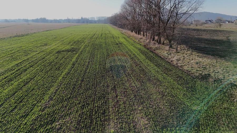 Teren extravilan cu potențial ridicat | Hărman, zonă de case - 8