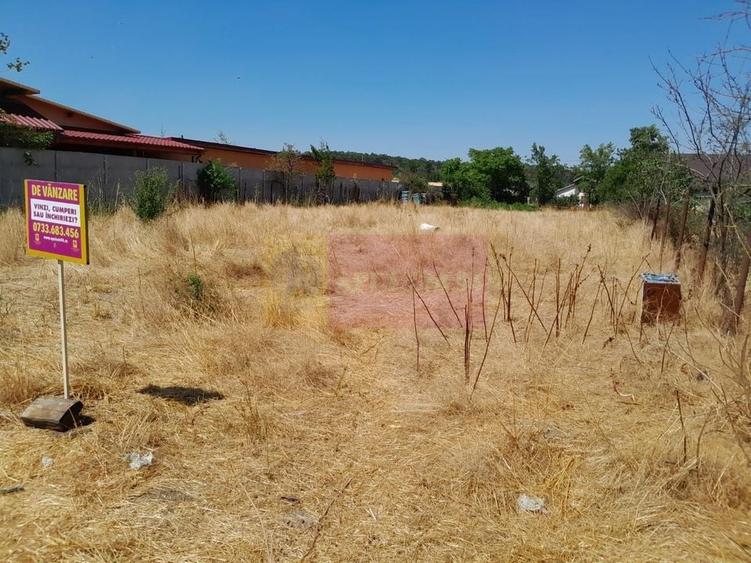 Teisori (Giurgiu) - teren 1800 mp de vanzare - 7