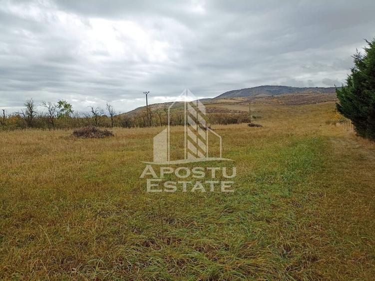 Teren 3800 Mp Ghioroc cu Utilitati - 2