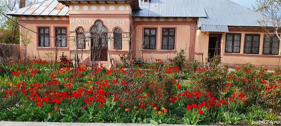 Casa Moldoveni Teleorman