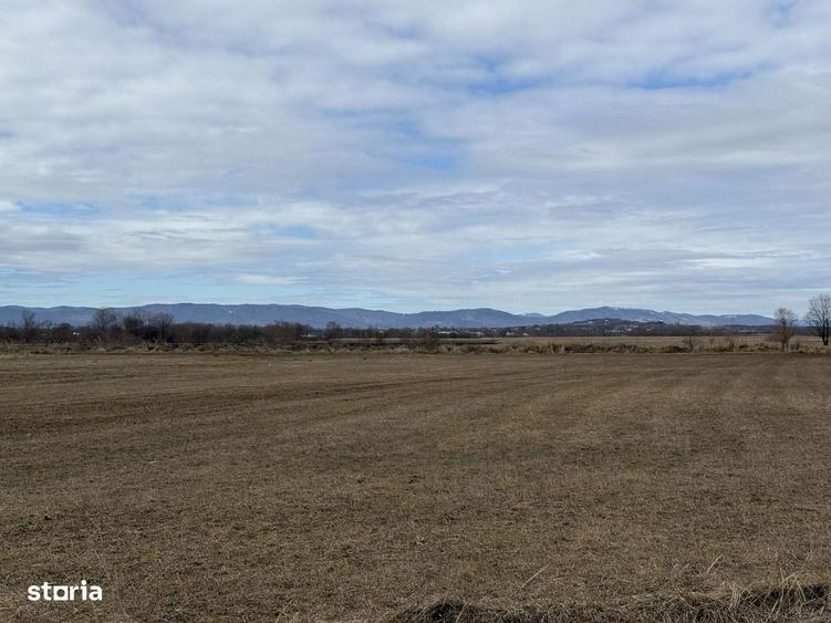 Teren extravilan | Radau?i zona Jalcau | 3.900 mp | 41 m front - 4
