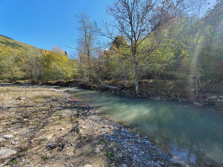 Teren Sacele Bradet 8euro/mp pretabil investitie - 7