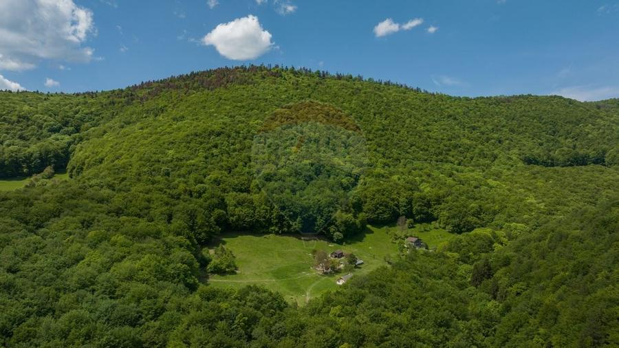 Teren de vanzare - Colonia 1 Mai, 5.310 mp, ideal pentru investitie - 2