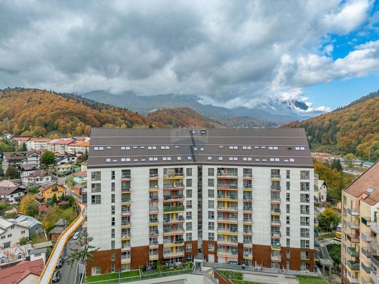 Studio cu terasă și vedere către munți – Green Future Sinaia - 15