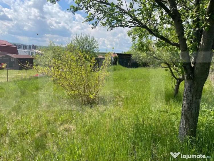 Investitie ! Teren intravilan,494 mp, front 14 m,cart Dambu - 5