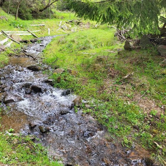 Teren intravilan de cabana la munte - 5