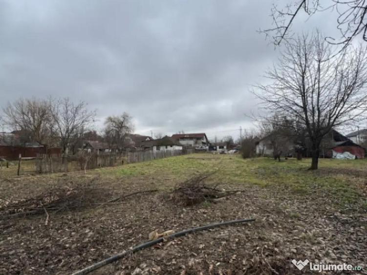 Teren 15 ari Paltini?ului zona de case, dublu front s - 5