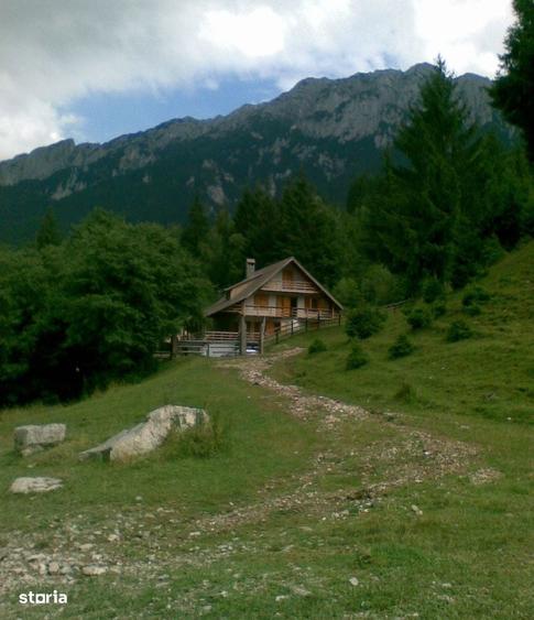 Vanzare Cabana in pitorerscul peisaj din Plaiul Foii, Zarnesti Brasov - 2