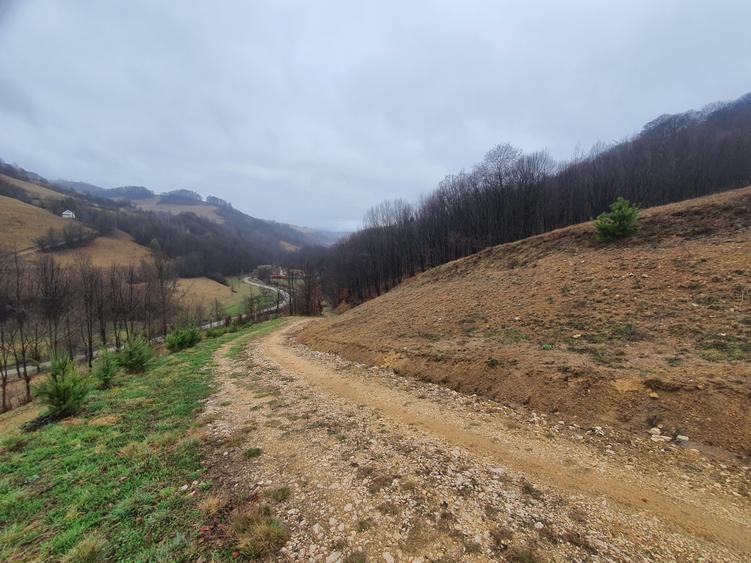 Teren Poiana Marului pretabil investitie 5 euro/mp - 3